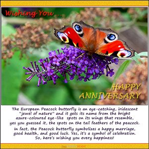 An "Anniversary" e-Card - with Fine Art Photographic Image of The Peacock Butterfly - A JEWEL OF NATURE