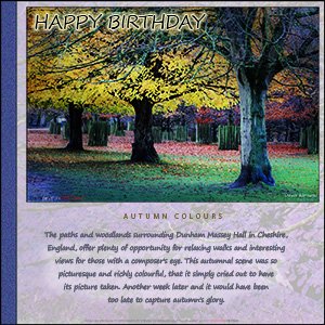 A "Birthday" e-Card - with Fine Art Photographic AUTUMN COLOURS