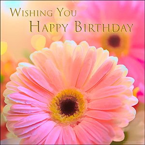 A BIRTHDAY e-CARD "PINK GERBERA"