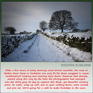 A "Blank" e-Card - with Fine Art Photographic Image of FOOTSTEPS IN THE SNOW