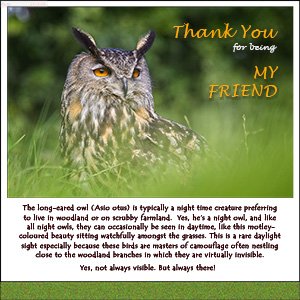 A "BEST FRIENDS" e-Card - ALWAYS THERE