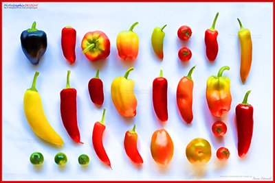 BUY NOW! HOT CHILLI PEPPERS - FINE ART PRINT