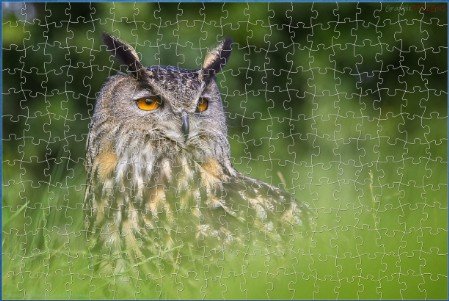 JIGSAW - LONG EARED OWL (play in your browser)