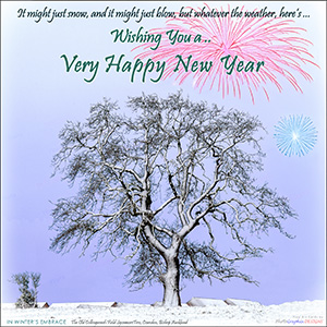 A "New Year" e-Card - with Fine Art Photographic Image: IN WINTER'S EMBRACE