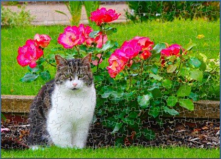 JIGSAW - TABBY AND WHITE CAT with ROSES