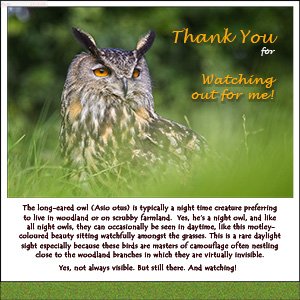 A THANK YOU e-Card - ALWAYS WATCHING