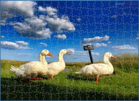 JIGSAW - Three DUCKS