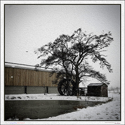 BUY NOW! THE WATERWHEEL, THE SHED AND THE TREE - FINE ART PRINT