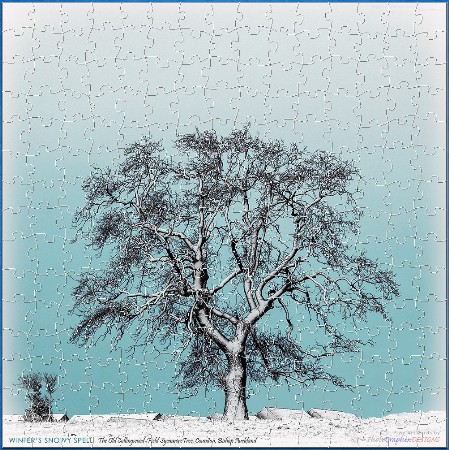 BUY NOW! IN WINTER'S EMBRACE - web-playable jigsaw